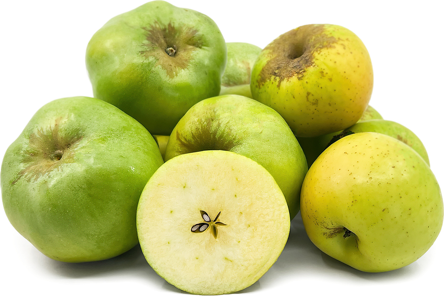 Costard Apples Information and Facts