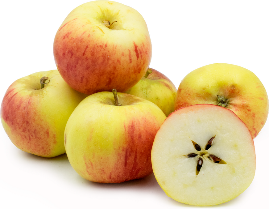 Pippin Apples Information and Facts