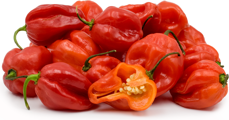 PDF) Evaluation of Scotch Bonnet and Habanero Peppers (Capsicum