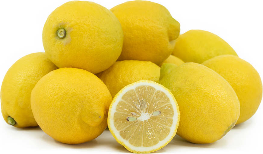 Santa Teresa Lemons Information and Facts