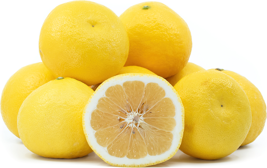 Hyuganatsu Citrus - Fruits That Start With H