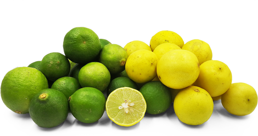 Limes rondes de KOX