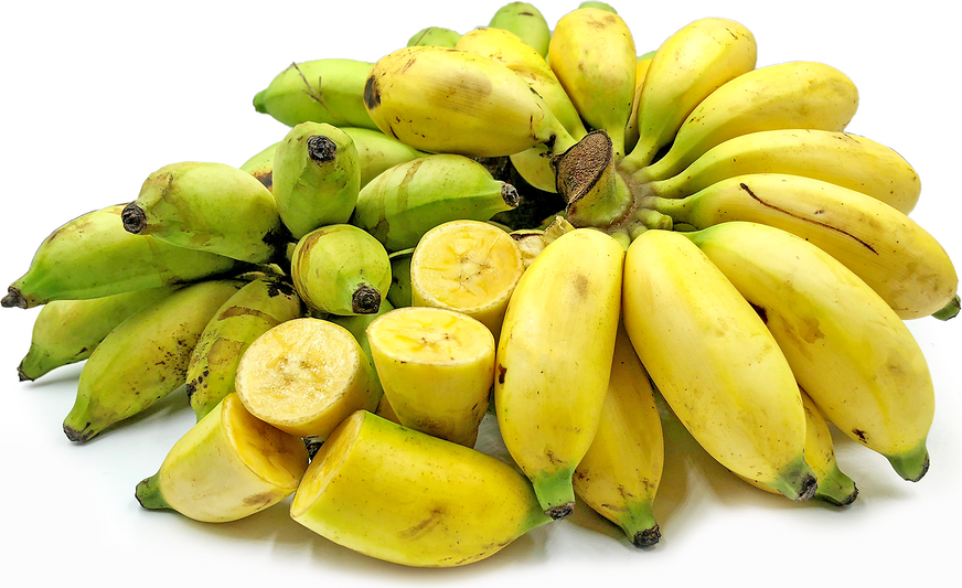 Pisang Mas Bananas Information and Facts