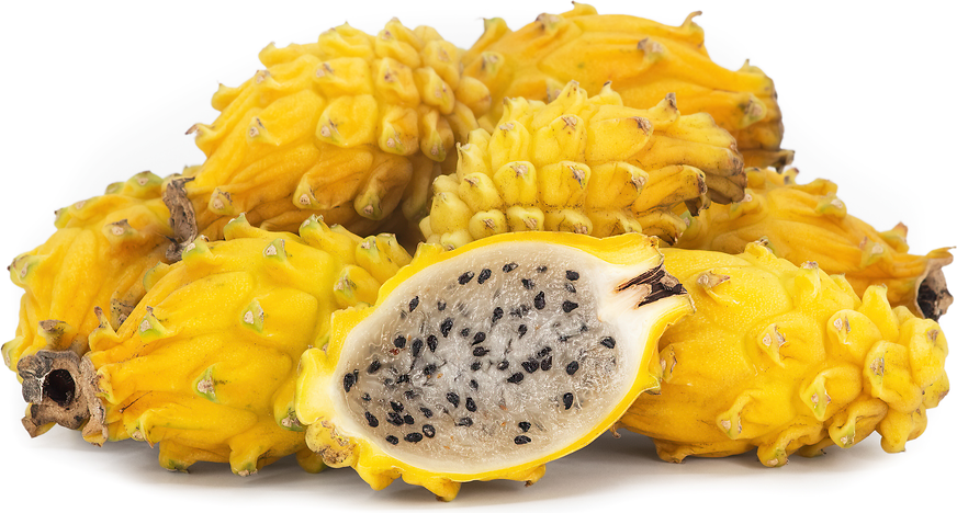 Yellow Dragon Fruit picture