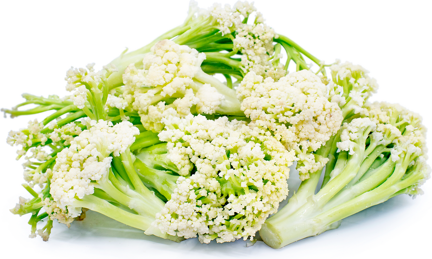 Sweet Stem Caulilini Cauliflower Information and Facts