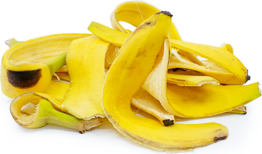Banana Peels Information and Facts