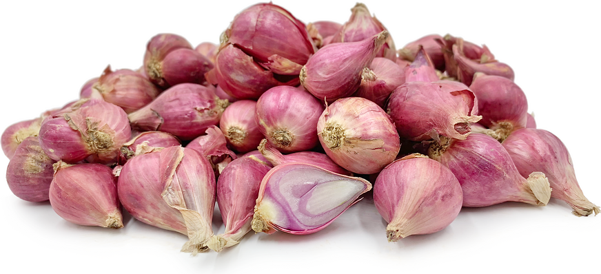 Indian Shallot Information and Facts