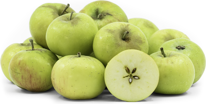 Green Apple, Granny Smith Golden Bay Fruit Orchards, NZ