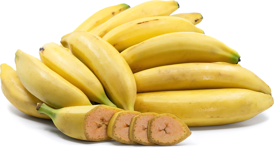 Banana Variety Box Guineo Tropical Fruit Exotic Fruit Fresh Fruit Organic  Fruit Fruit 