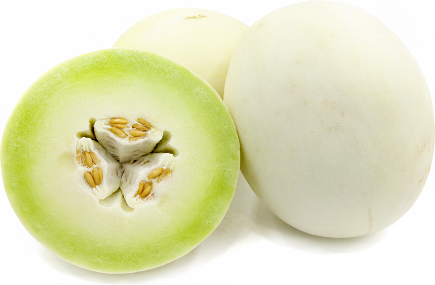 Green Sweet Honey Dew Melon Seeds - 100 Count Seed Pack - Has a Smooth,  Creamy White Skin with Lime-Green Flesh That is Incredibly Sweet with a  Small