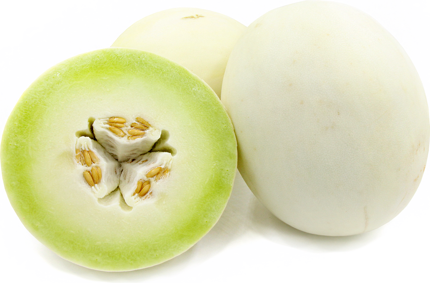 Early Honeymoon Honey Dew Melon Seed