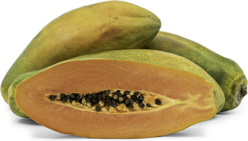 Maradol Papayas Information and Facts