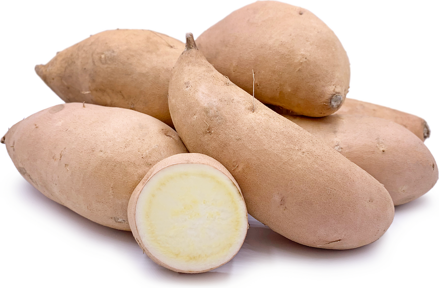 Hannah Sweet Potatoes Information and Facts