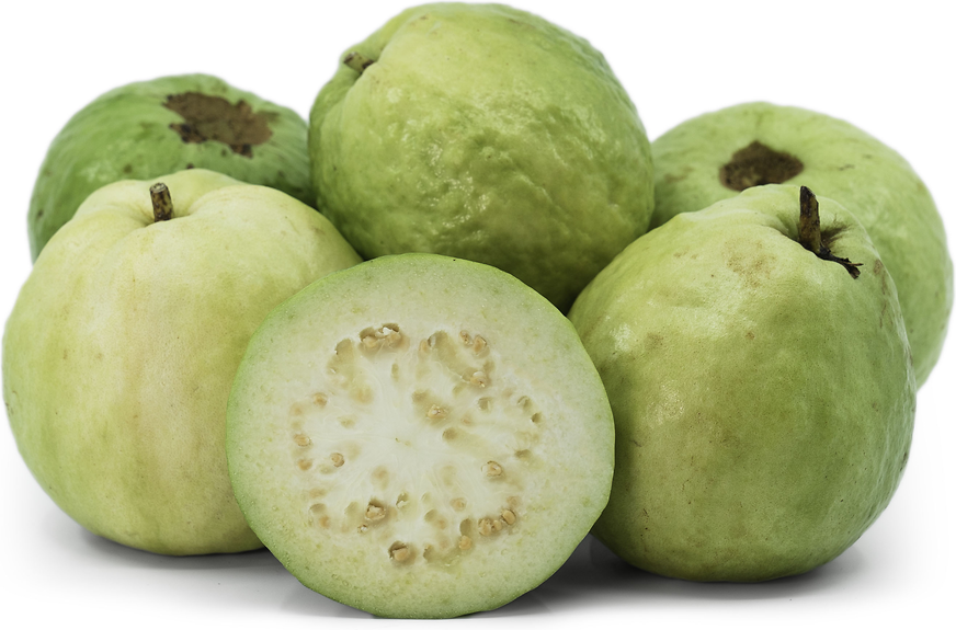 guava fruit