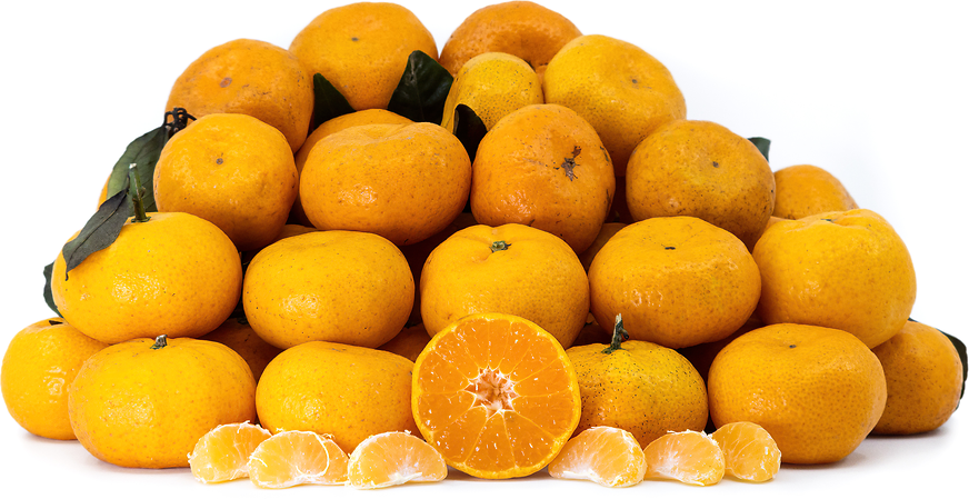 Fresh mandarin oranges fruit or tangerines or jeruk santang madu.Usually  Served for Chinese New Year Stock Photo by edgunn36