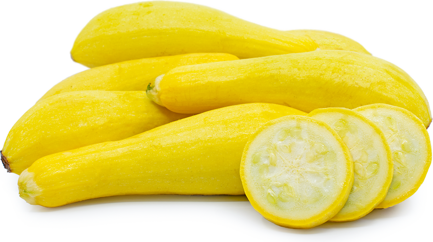 Yellow Straightneck Squash Information and Facts