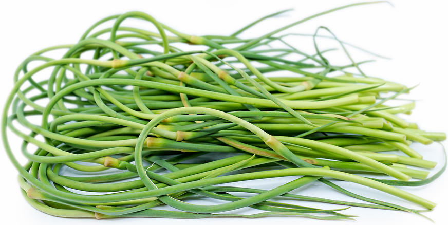 Garlic Scapes - An Early Summer Delicacy - I Breathe I'm Hungry