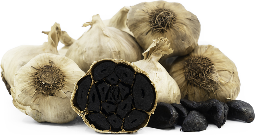 L'ail Noir (Black Garlic in French)_Pretty Garlic from China