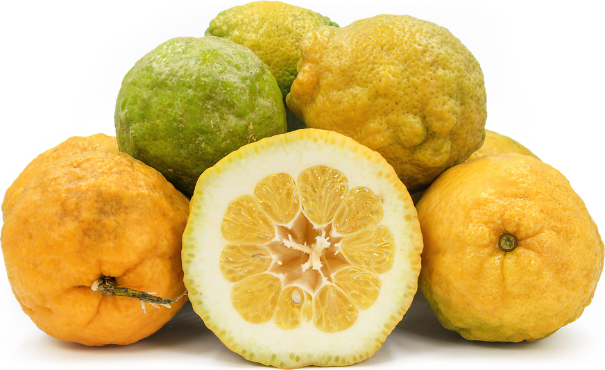 Citron: More Than Just A Big Lemon