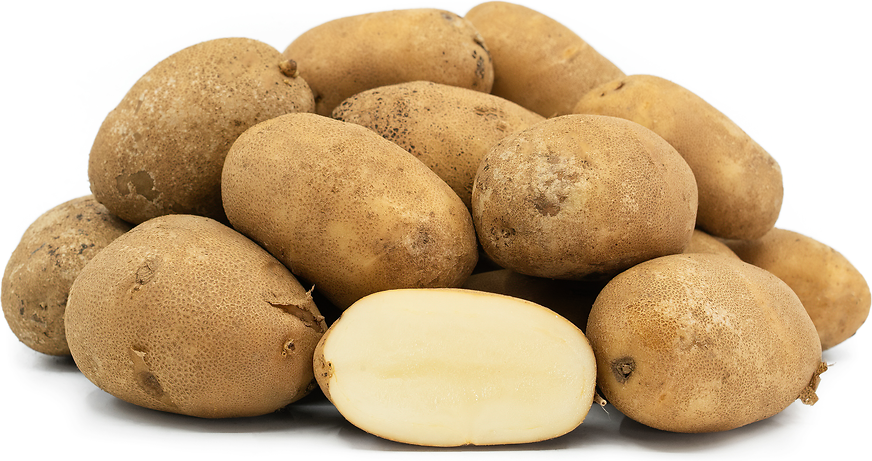 Baby Russet Potatoes Information and Facts