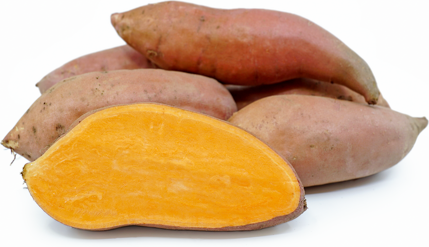 Beauregard Sweet Potatoes Information and Facts
