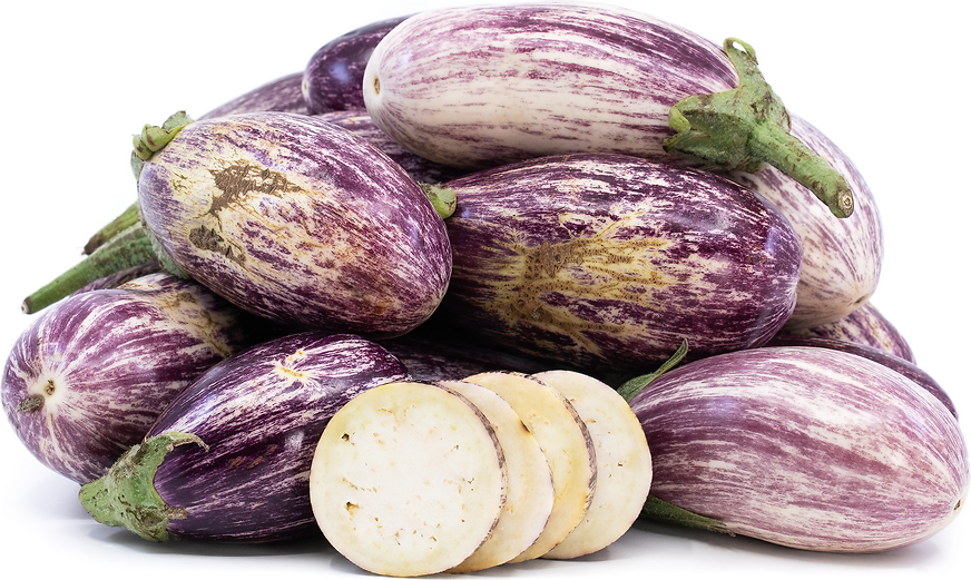 Turkish Eggplant heirloom/op Seeds: Scarlet Eggplant Seeds 