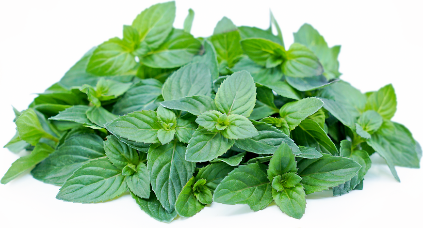 Spearmint Basil