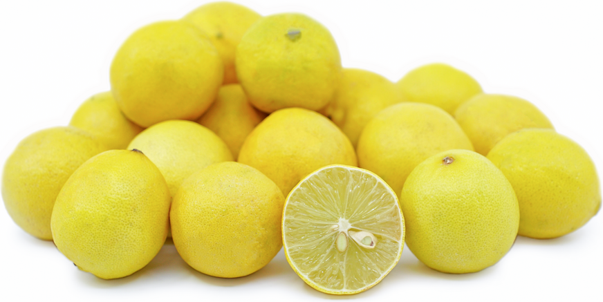 Florida Key Limes Information And Facts