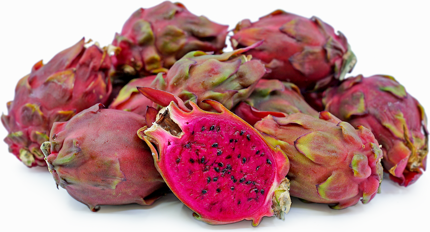 Sugar Dragon” Dragon Fruit – GalaPlants