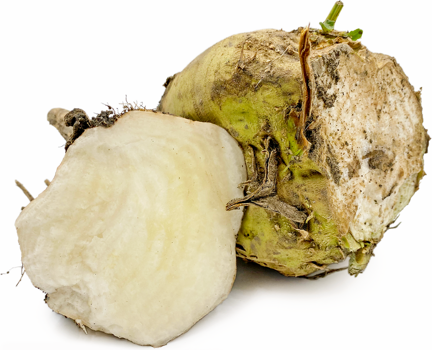 Featured image of post Steps to Make How To Eat Sugar Beets