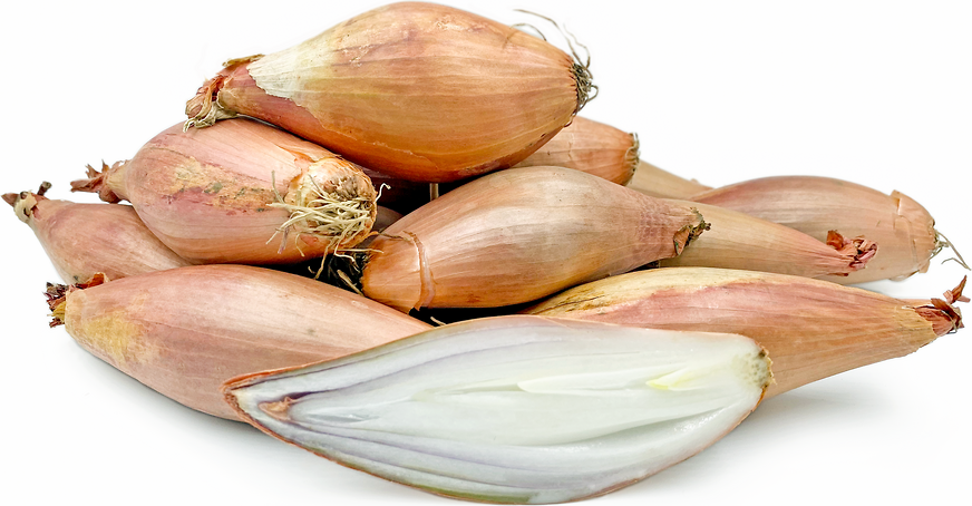 Best Echalion Shallots Royalty-Free Images, Stock Photos & Pictures