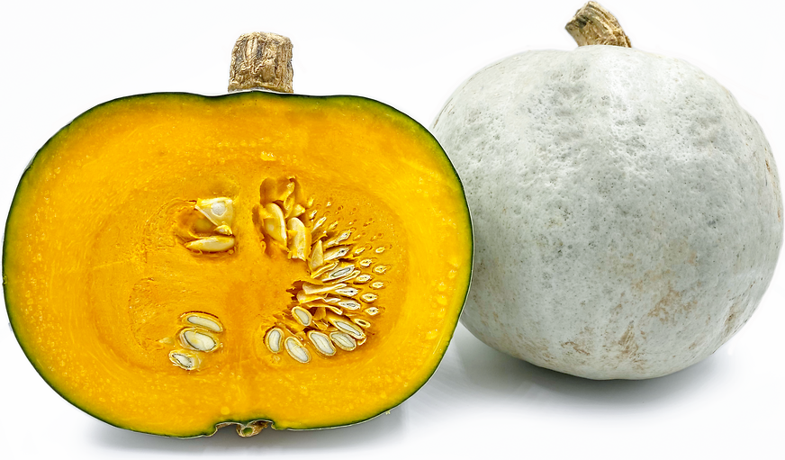 Crown Prince Squash Information Recipes And Facts