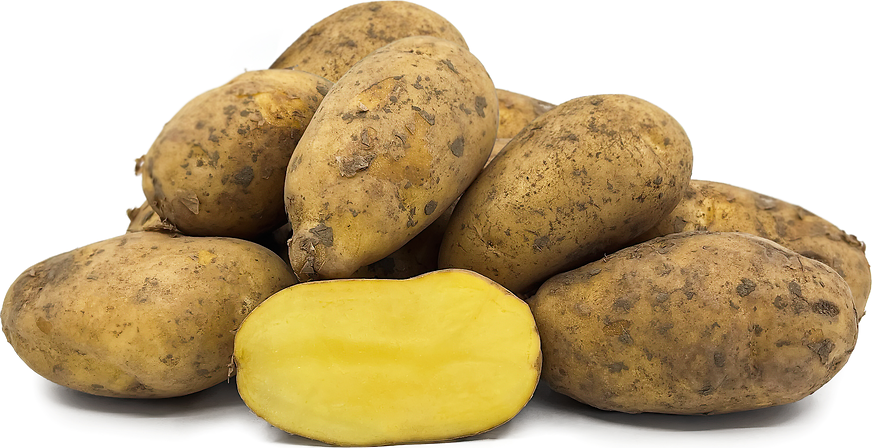 Grow Delicious Potatoes Veggies At Home With Potato Grow - Temu