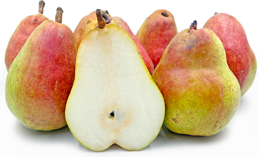 Red Comice Pears Information and Facts