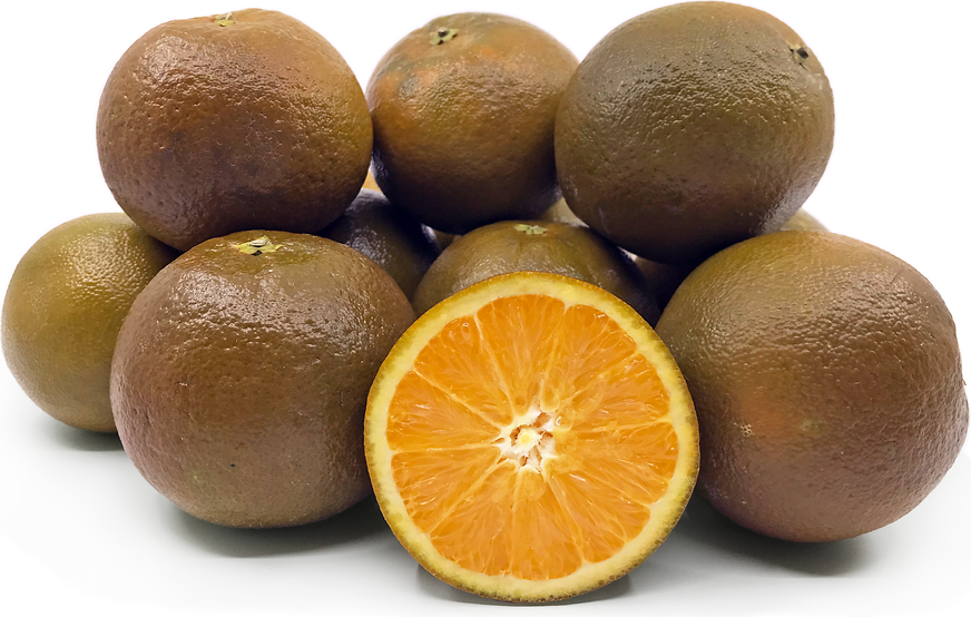 Navel Chocolate Oranges Information and Facts