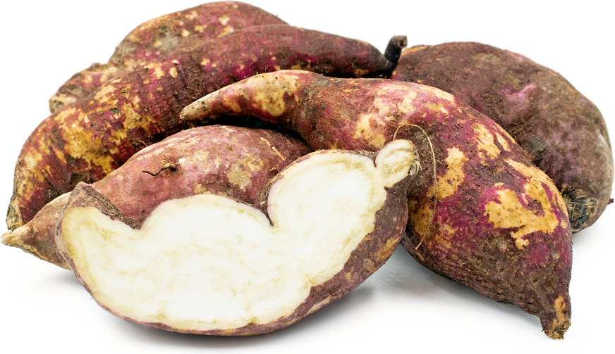 Boniato Sweet Potatoes Information And Facts,Potato Bread Nutrition
