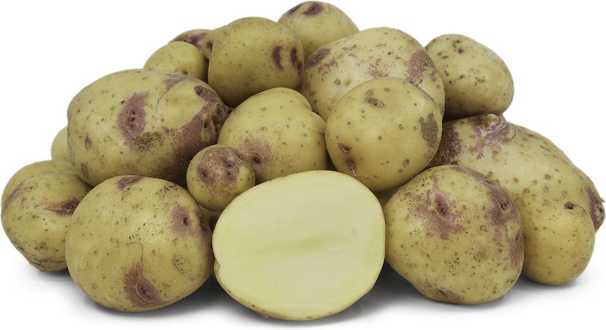 George's Plant Pick of the Week: Potato 'Red Norland' 