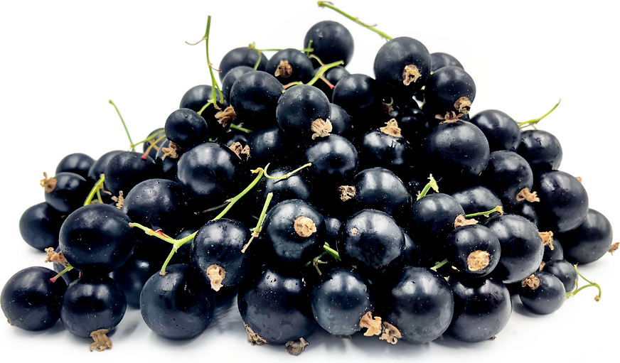 Black Currant Berries Information Recipes And Facts
