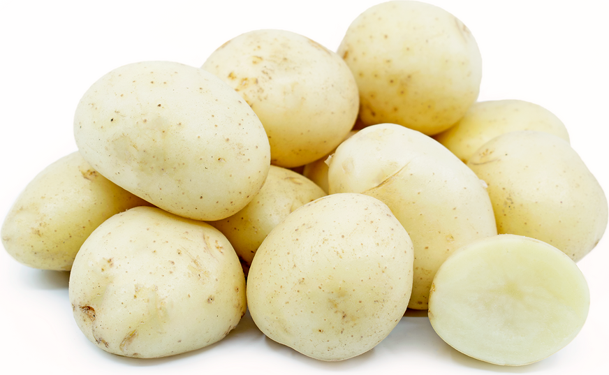 White Creamer Potatoes Information and Facts
