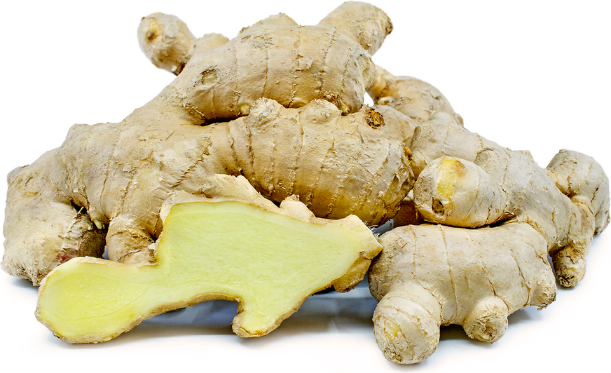 the-benefits-of-ginger-root-mother-of-health