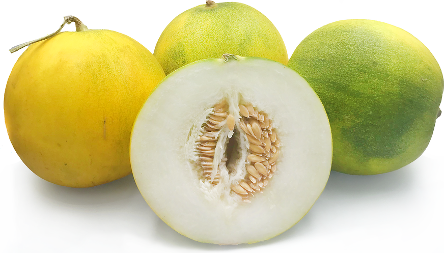 Honeydew (melon) - Wikipedia