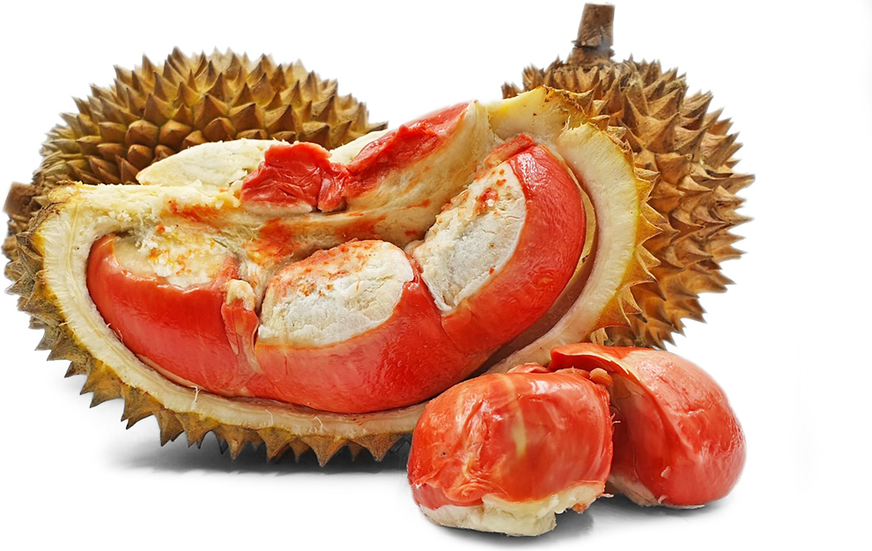 red spiky fruit with orange center