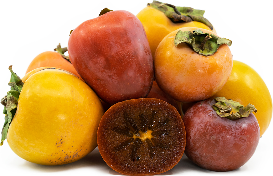 Chocolate Persimmons Information and Facts