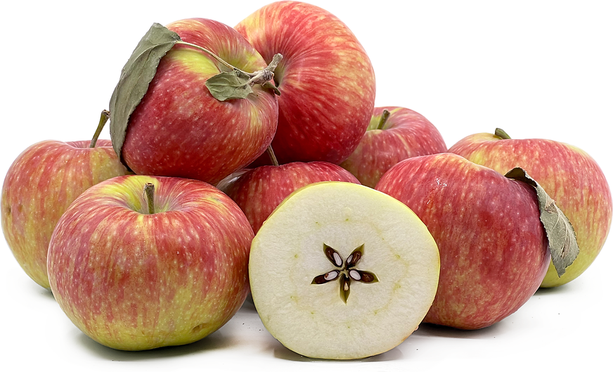 Melba Apples Information and Facts