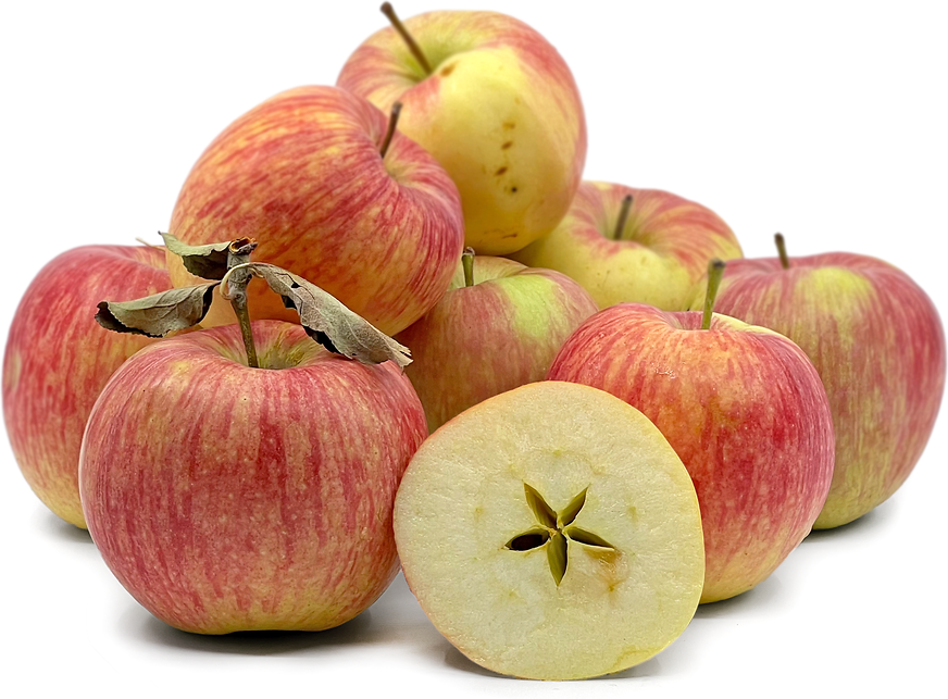 Sweet and Special Opal Apples - Nugget Markets Daily Dish
