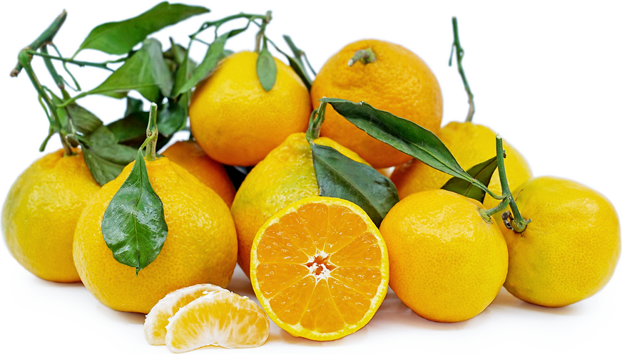 Satsuma Tangerines - Types Of Tangerines