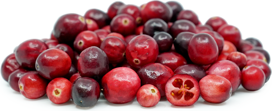 Homemade Seedless Cranberry Jelly - Curly Girl Kitchen