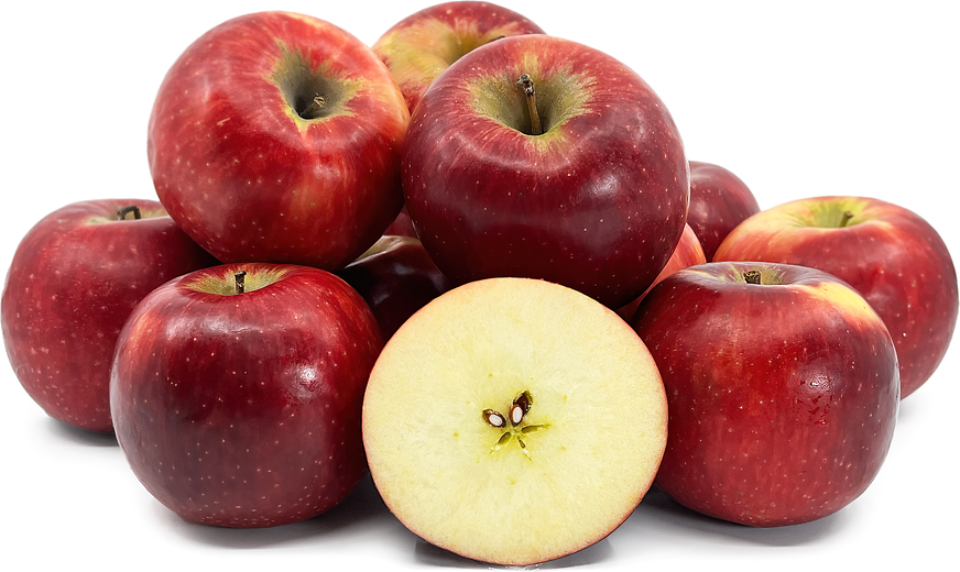 Malus domestica 'Red Delicious' (Semi-Dwarf Apple)