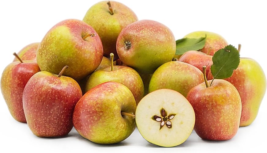 Early Golden is Golden Supreme - Adam's Apples