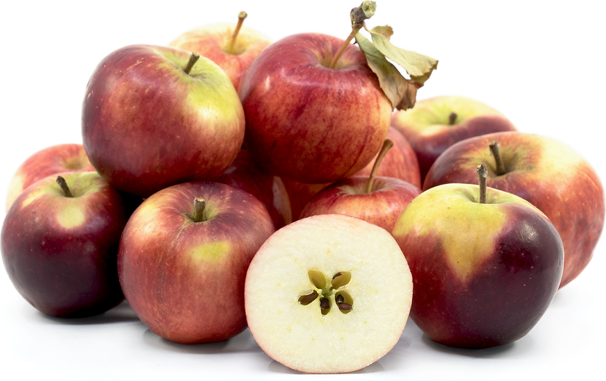 Aurora Golden Gala™ Apples Information and Facts